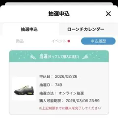 W AIR MAX 95 BIGBUBBLE エアマックス 95 25.5cm