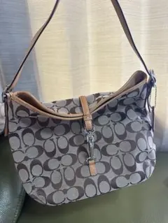 Coach Clutch Bag Rank B - メルカリ