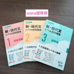 新・現代文レベル別問題集３冊セット