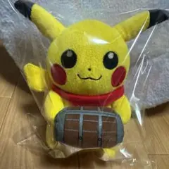 ポケモンセンターナゴヤ ピカチュウ ぬいぐるみ 2013年 - メルカリ