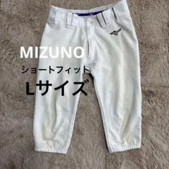 MIZUNO 野球 練習着 パンツ ガチパン ショートフィット L