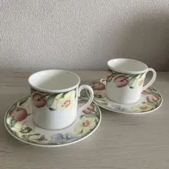 ビレロイ＆ボッホ カップ＆ソーサー 2客 ペア チューリップ 花柄 レア