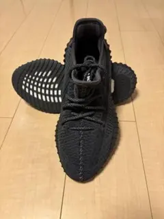 早いもの勝ち‼️ adidas YEEZY BOOST 350 V2