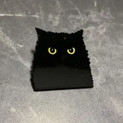 黒猫のピンバッジ2