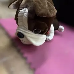 アフロ犬✕セブンティーンアイス♡懸賞当選品・難あり - メルカリ