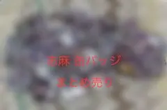 初音ミク ドンキ ホログラム 39culture 大き目メタリック 缶バッジ