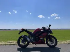 Kawasaki Ninja250 ETC付き　ABS付きのサムネイル