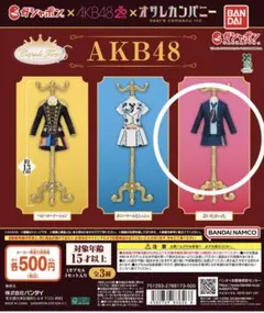 Capsule トルソー AKB48 会いたかった