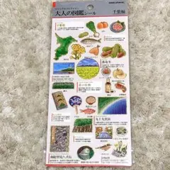 ポチャッコ様 リクエスト 3点 まとめ商品