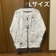 Item thumbnail for item 50505d14-11d7-4a3c-ba52-11c57dc94e5d