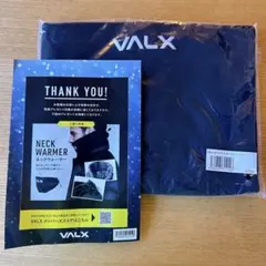 Item thumbnail for item 4d1adf17-6ac9-4687-ba90-a217f9a1ea8c