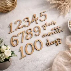 新作　【2026】月齢フォト　マンスリーカード　ニューボーンフォト　レターバナー