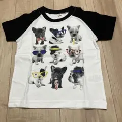 Item thumbnail for item 14bf998b-3ba0-48c8-b83d-77379f137c0e