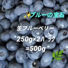 ブルーベリー＊生ブルーベリー＊完熟ブルーベリー＊摘みたて＊農薬不使用のサムネイル