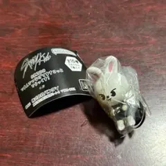 skzoo つまんでつなげてますこっとでらっくす！ リービット