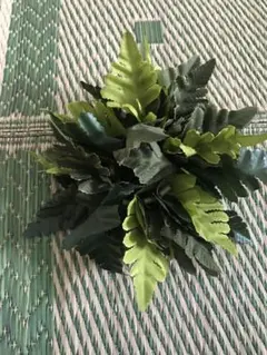 Item thumbnail for item 01b31a96-2656-421f-bcd8-bac01be88d73