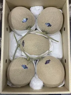 静岡産アールスメロン白印8. 1kg6玉入り1箱 マスクメロン網目形状が