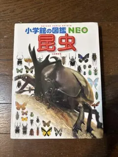 小学校の図鑑NEO 昆虫
