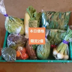85サイズ 野菜詰め合わせ　野菜セット　旬　　朝採り　新鮮野菜　限定2個