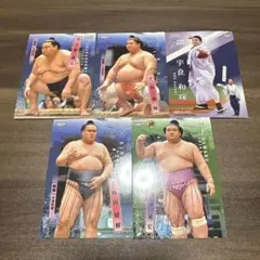 Item thumbnail for item c4643567-c792-48f8-9384-b381b9473846