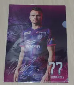 Item thumbnail for item 82f4cba6-2a89-435a-8548-f5a42d43c054