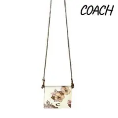 Item thumbnail for item f97daef7-82f0-46c4-b388-0f6c5d0c0073