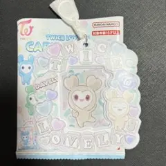 TWICE LOVELYS カードホルダー ダブリー