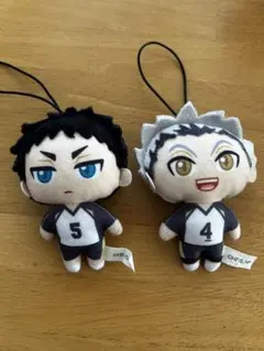 ハイキュー‼︎ぬいぐるみマスコット2 木兎　赤葦　梟谷