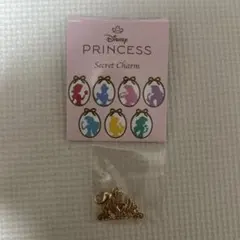 ディズニーストア　プリンセス　シークレットチャーム　アリエル