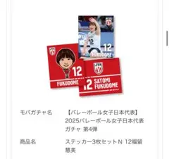 チャーミン田中様 リクエスト 2点 まとめ商品
