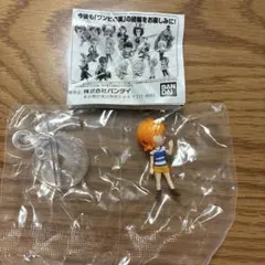 ワンピの実　ナミ　第二十四海戦