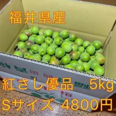 めぐみん様専用❤️青梅5kg Sサイズ 紅さし　秀品