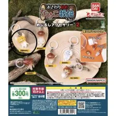 なめこ栽培キット めじるしアクセサリー2 天使なめこ ガチャガチャ カプセルトイ