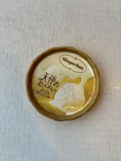 Häagen-Dazs 蓋天使のおさそい　ホワイトチョコレート