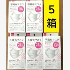 新品　ダイソー　小さめ不織布マスク立体　25枚が5箱　小顔に見えるマスク　⑮