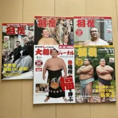 2026年最新】相撲 雑誌の人気アイテム - メルカリ