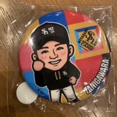 2026年最新】谷川原 若鷹ガチャの人気アイテム - メルカリ