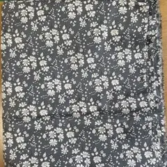 Item thumbnail for item 12fd5180-8248-45b4-ac82-395e500654ba