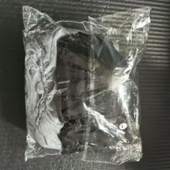 水着 セパレート シースルー L 3点セット