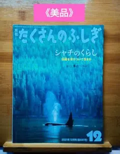 ありよん様 リクエスト 2点 まとめ商品