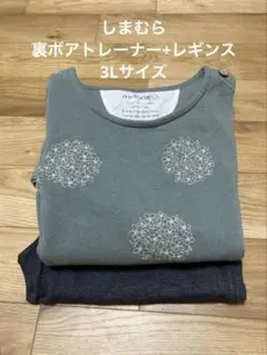 Item thumbnail for item c1fbcfcd-2c8b-4032-9b1e-cabf609dfd25