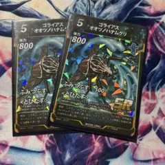 ゴライアス オオツノハナムグリ　2枚