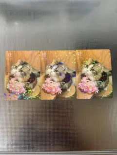 猫カフェMOCHA トレカ みにー 3枚セット