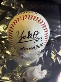 2026年最新】diana サインボールの人気アイテム - メルカリ