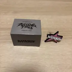 ゼンゼロ Z LIVE 2026 缶バッジ 未開封BOX 妄想エンジェル - メルカリ