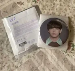 BTS SOWOOZOO  ラッキードロー　缶バッジ　V テテ　テヒョン