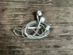 Item thumbnail for item 74cc7a8a-9821-4c15-adbd-f1f26c5ddcac