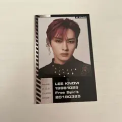 StrayKids スキズORDINARY 封入トレカ リノ