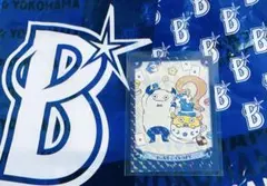 バート＆チャピー　横浜DeNAベイスターズ　カードリアル化 マスコットカード