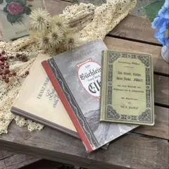 【美装丁6冊セット】ヴィクトル・ユゴー 洋書 フランス文学 ハードカバー 美装丁6冊セット】ヴィクトル・ユゴー 洋書 フランス文学 ハードカバー